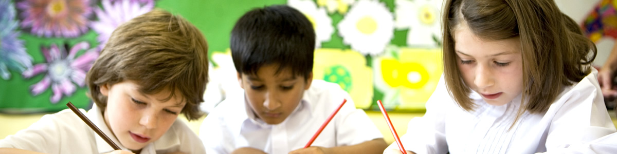 T/TAC Online Slider Image 3